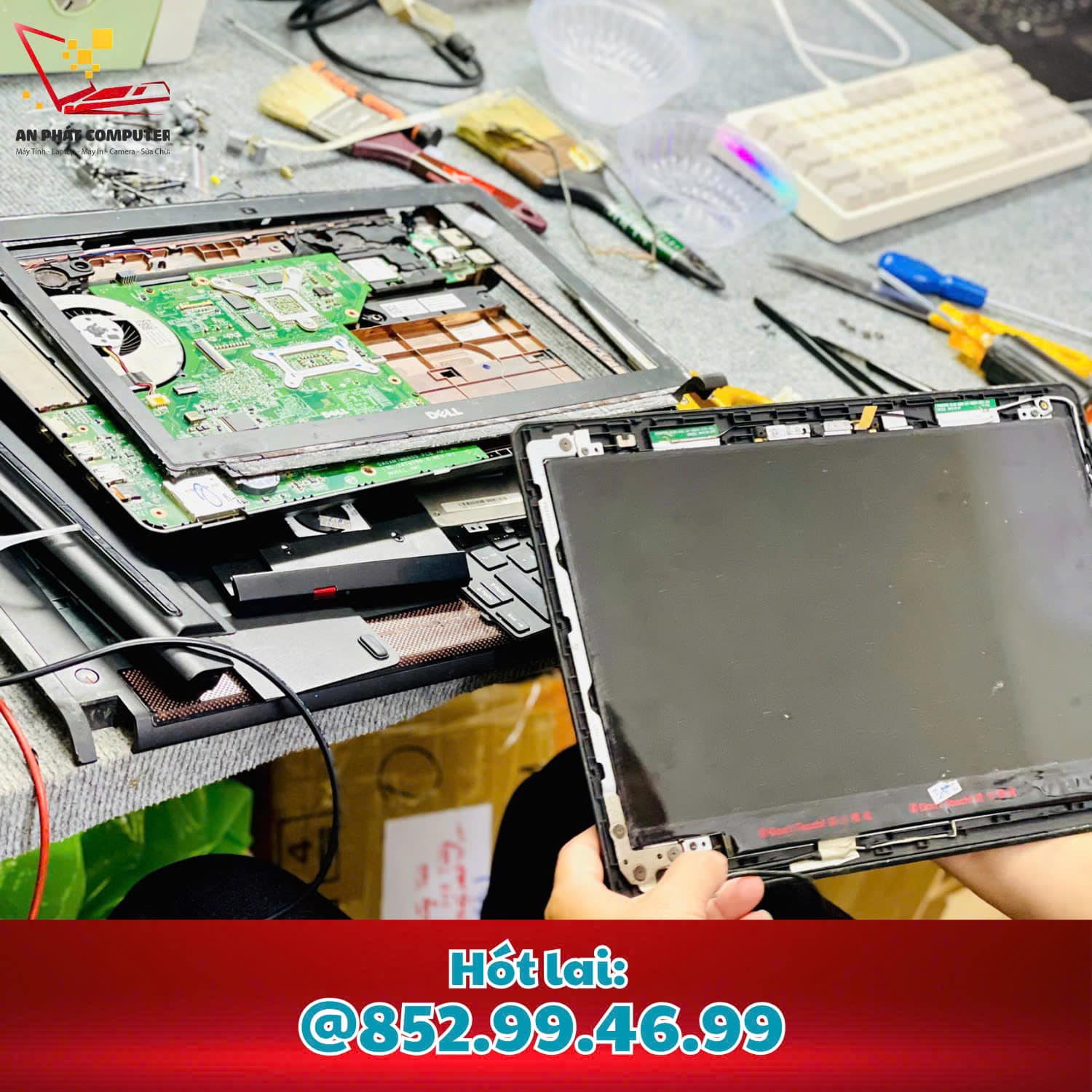 han ban le tai An Phat Computer Vung Tau